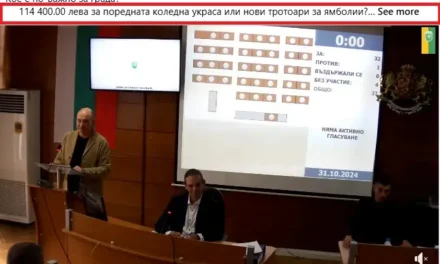 Кое е по-важно за града? 114 400.00 лева за поредната коледна украса или…