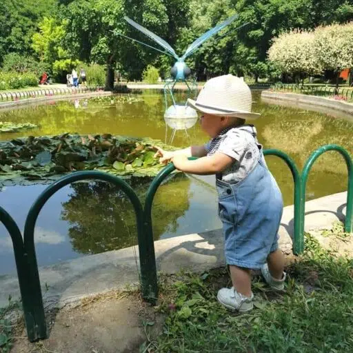 Бъдеще Лого