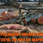 От поредицата „ФАЛШИВ ГЕРОЙ”!