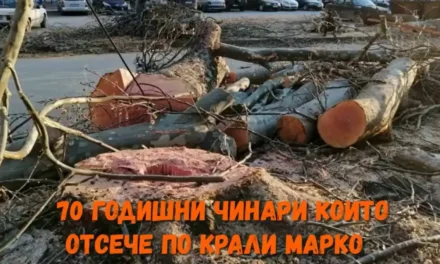 От поредицата „ФАЛШИВ ГЕРОЙ”!