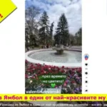 Цветя, Цветя и пак Цветя!